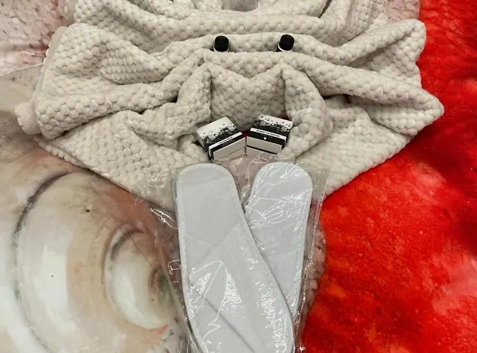 Hotel en barco Hausboot Lore Duisburg